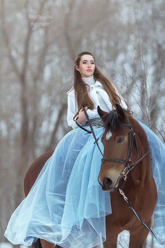 Зима с лошадьми - Маргарита Гусева