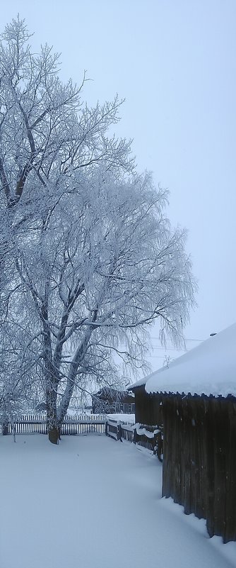 Зима.2017 - Артём Бояринцев