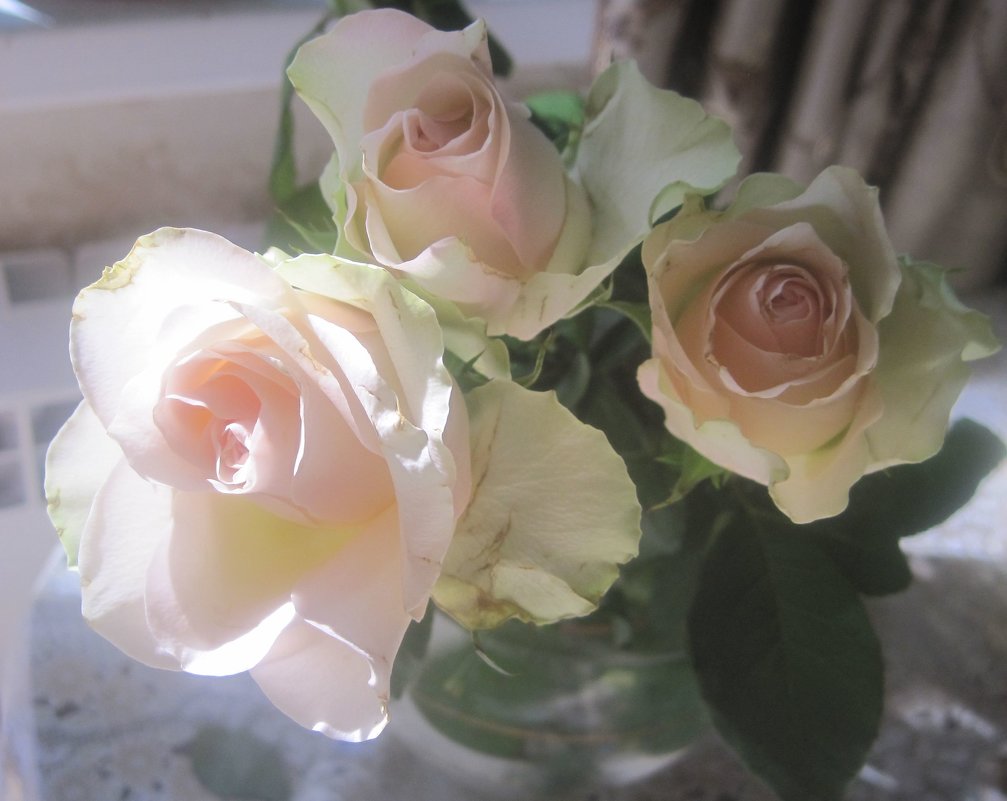Букет из белых роз - Елена Семигина