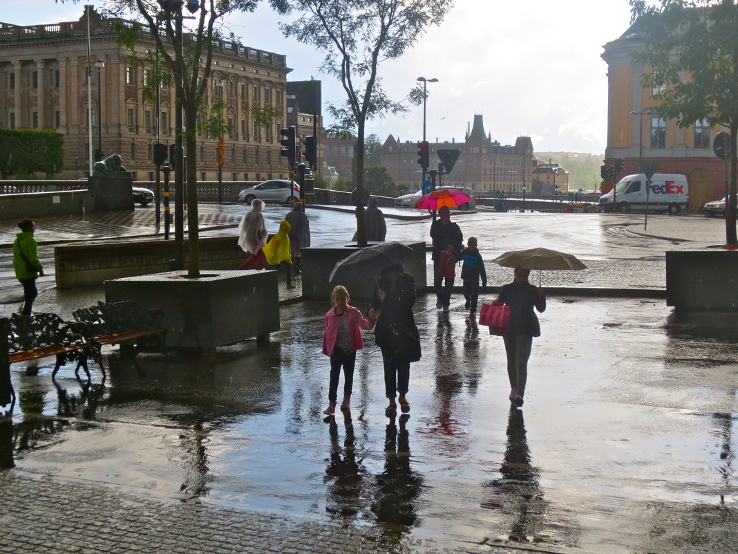 Дождливый день в Стокгольме - Елена 