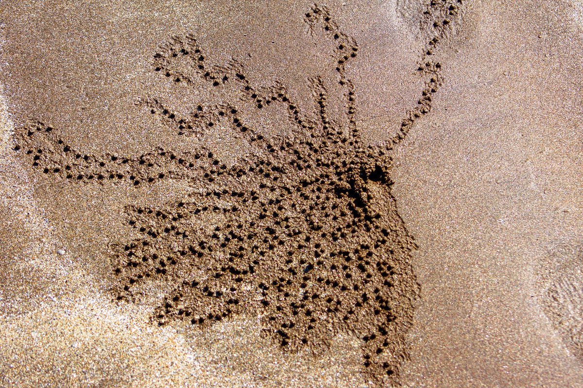 "Рисунки" на песке - Владимир Орлов