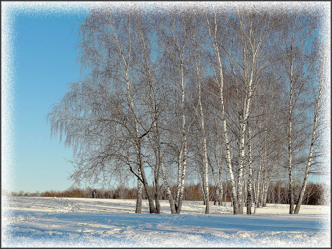 зимняя фантазия... - Валентина. .