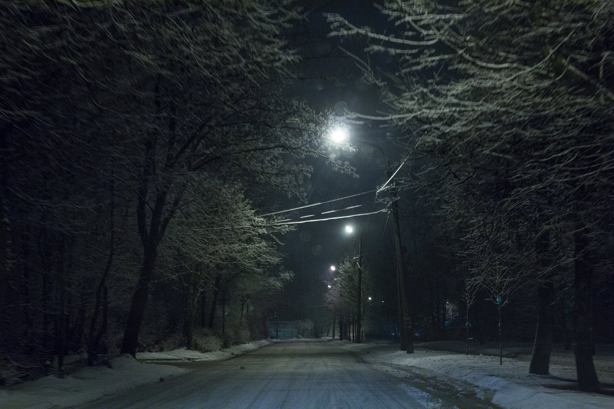 Зимняя ночь - Алёнка Шапран