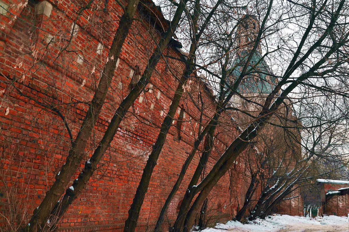 Разрушение стен Симонова монастыря деревьями. - Владимир Болдырев