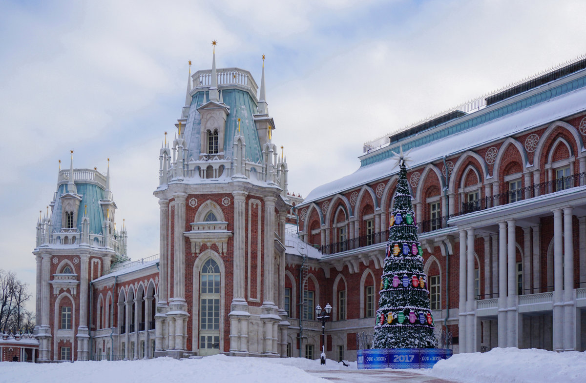 Зимнее Царицыно - Ольга 