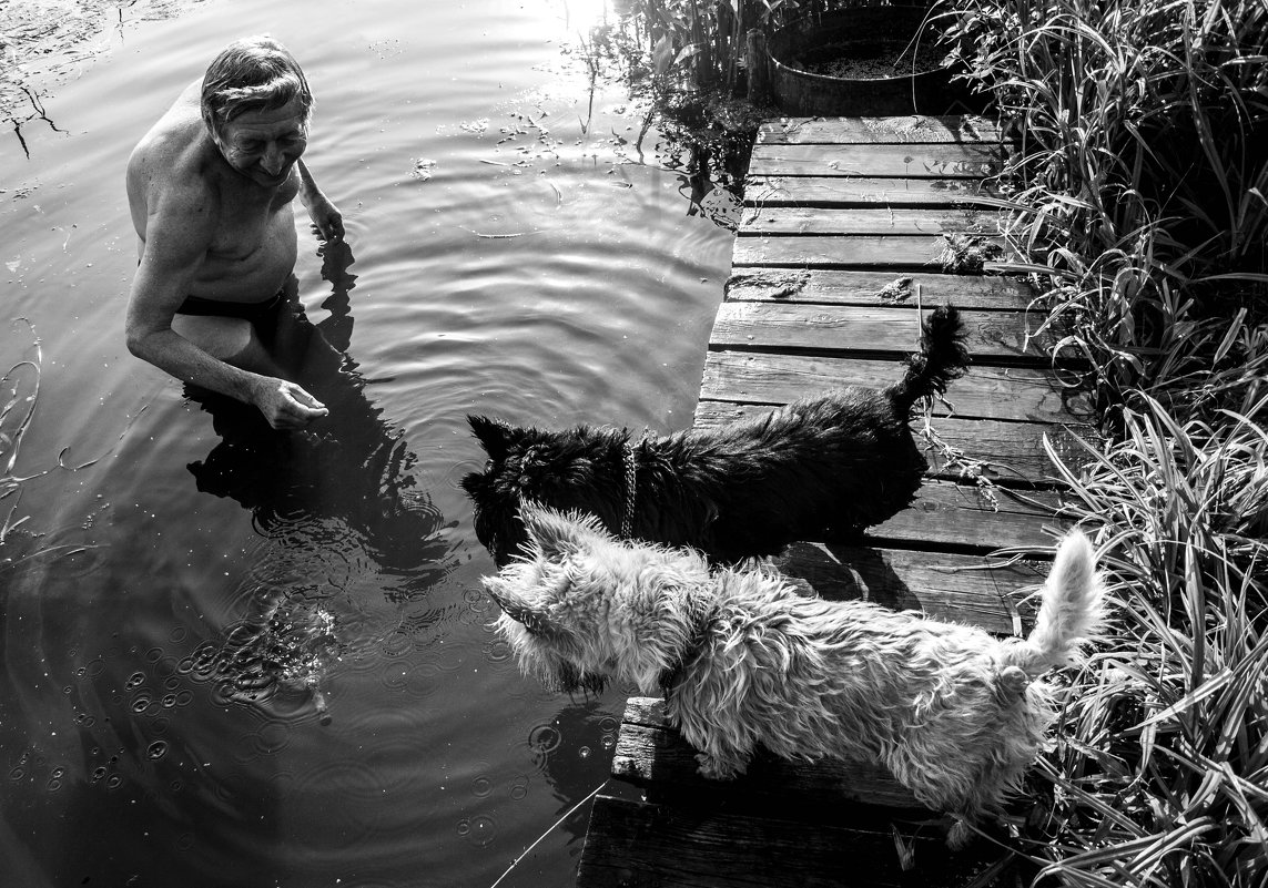 Summer swimming - Света Гончарова