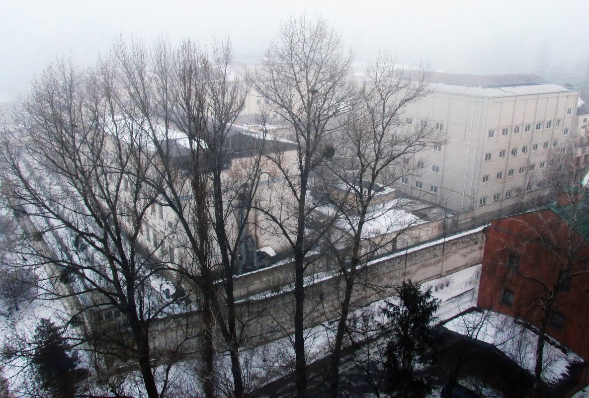 Хмурое холодное утро над Лукьяновкой - Ростислав 