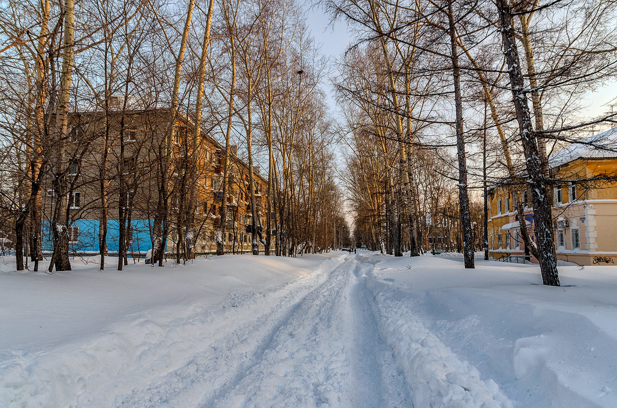 Декабрь 2014 года, после снегопада. - Виктор Иванович Чернюк