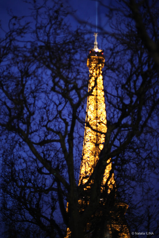 Эйфелева башня, Париж - Фотограф в Париже, Франции Наталья Ильина