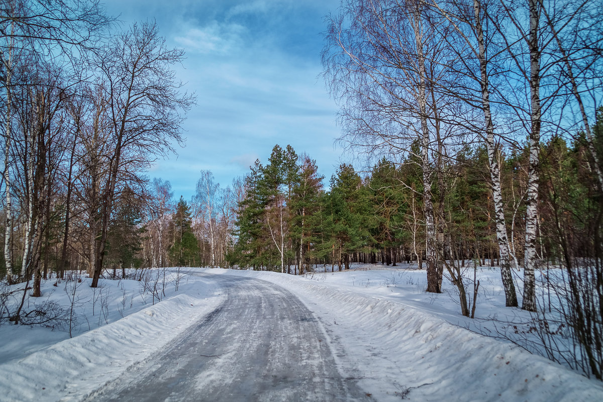 Последние дни зимы - Андрей Дворников