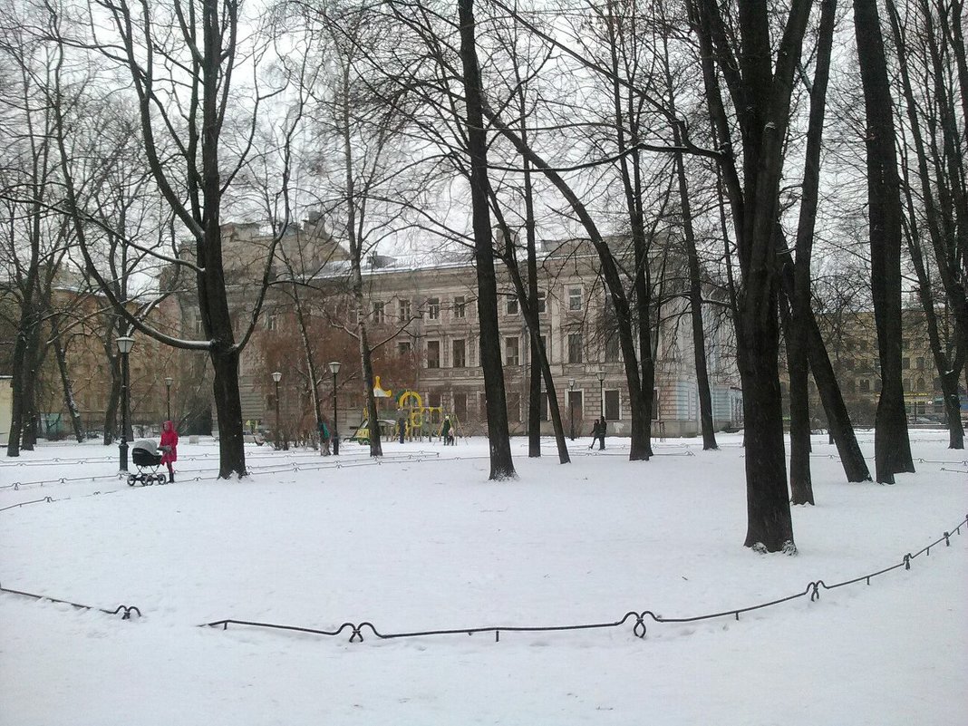 Сад Сан-Галли зимою. (Санкт-Петербург). :: Светлана Калмыкова – Социальная  сеть ФотоКто