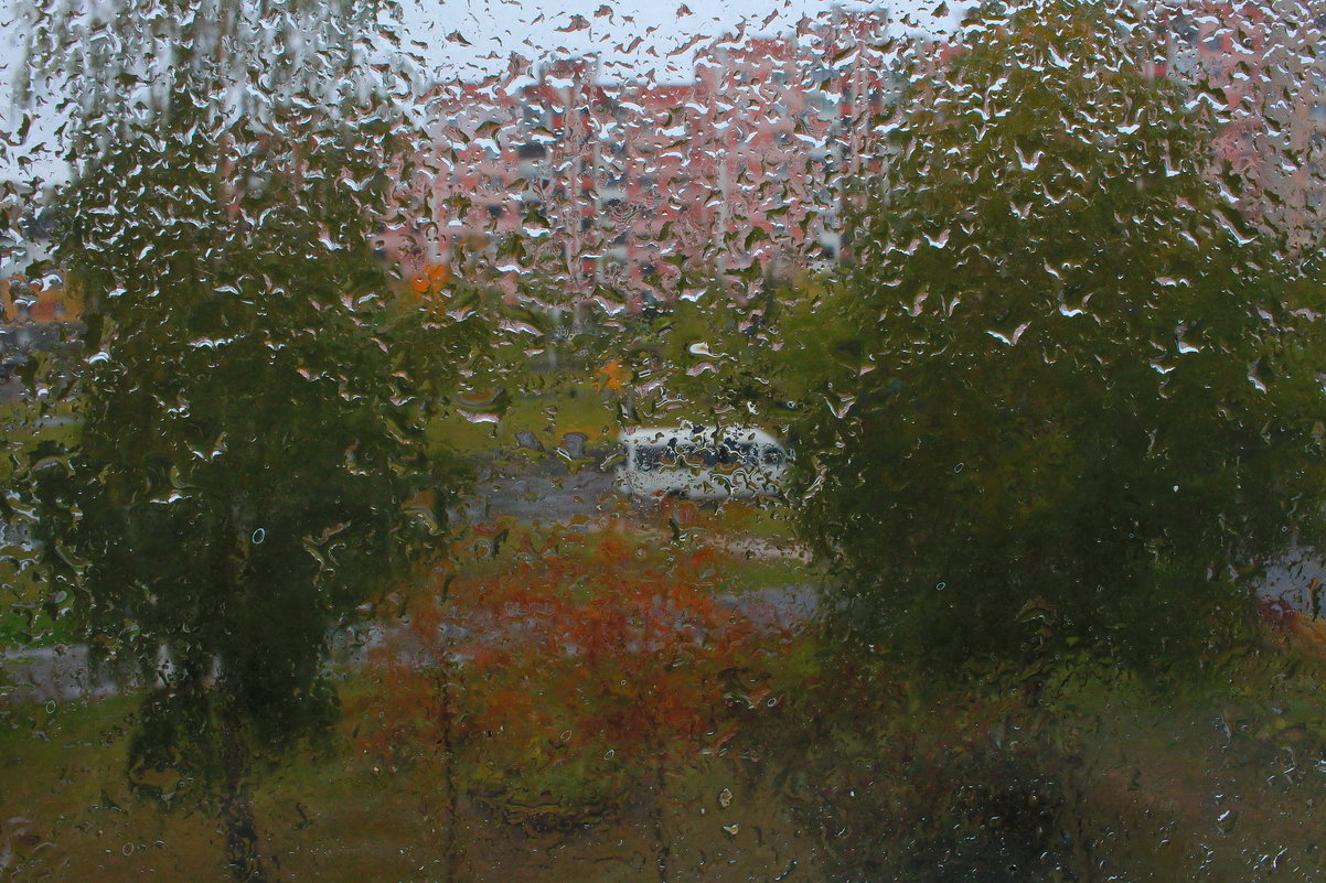 Дождь постучался за окном... - Николай Котко