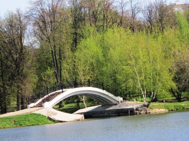 Парк. Пруд.  Мост - Дмитрий Никитин