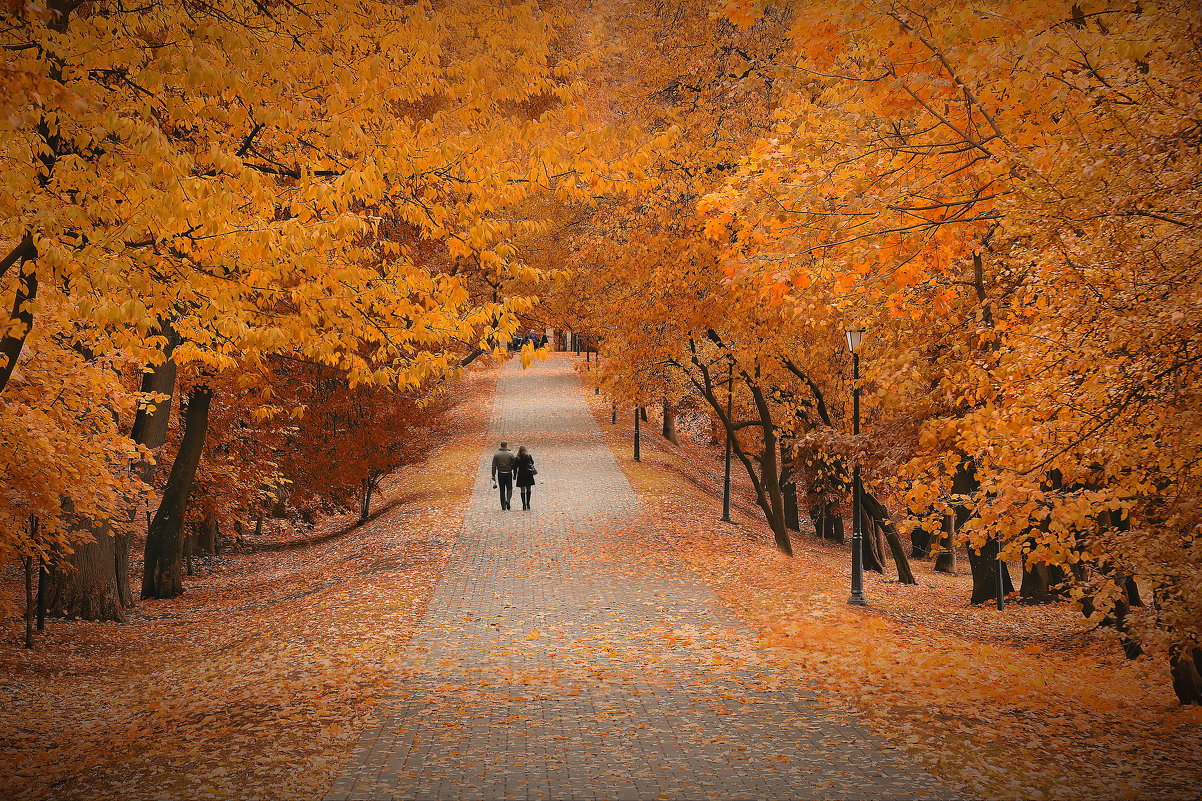 Осень в Лошицком парке - KateRina ***