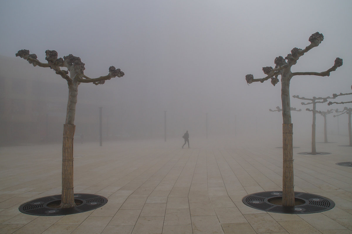 Туманный Краснодар - Андрей 