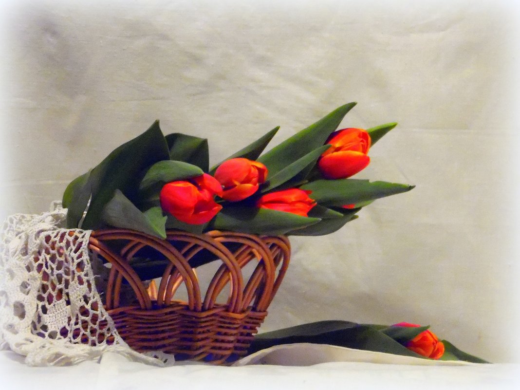 Тюльпаны для женщин. - nadyasilyuk Вознюк