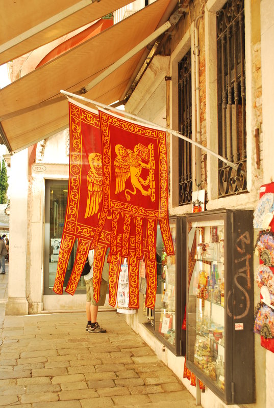 Венецианские флаги - Татьяна Игнатьева