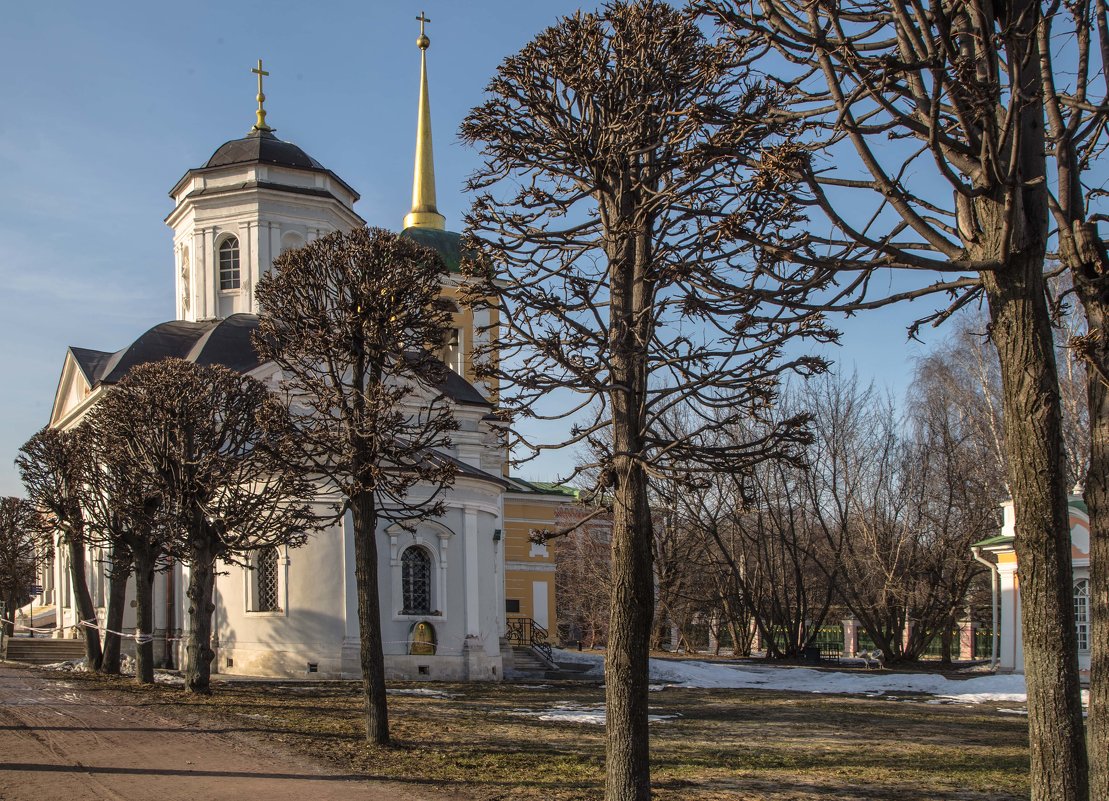 Домовая церковь Шереметьевых - Александра 