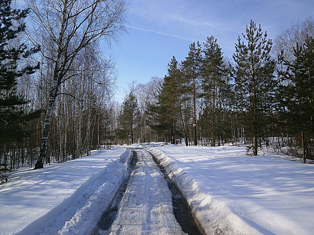 ...... - александр дмитриев 