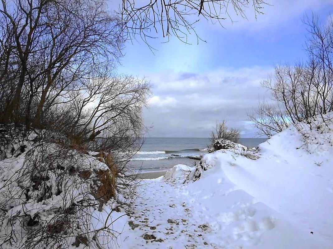 Побережье Балтийского моря после мартовского снегопада - Маргарита Батырева
