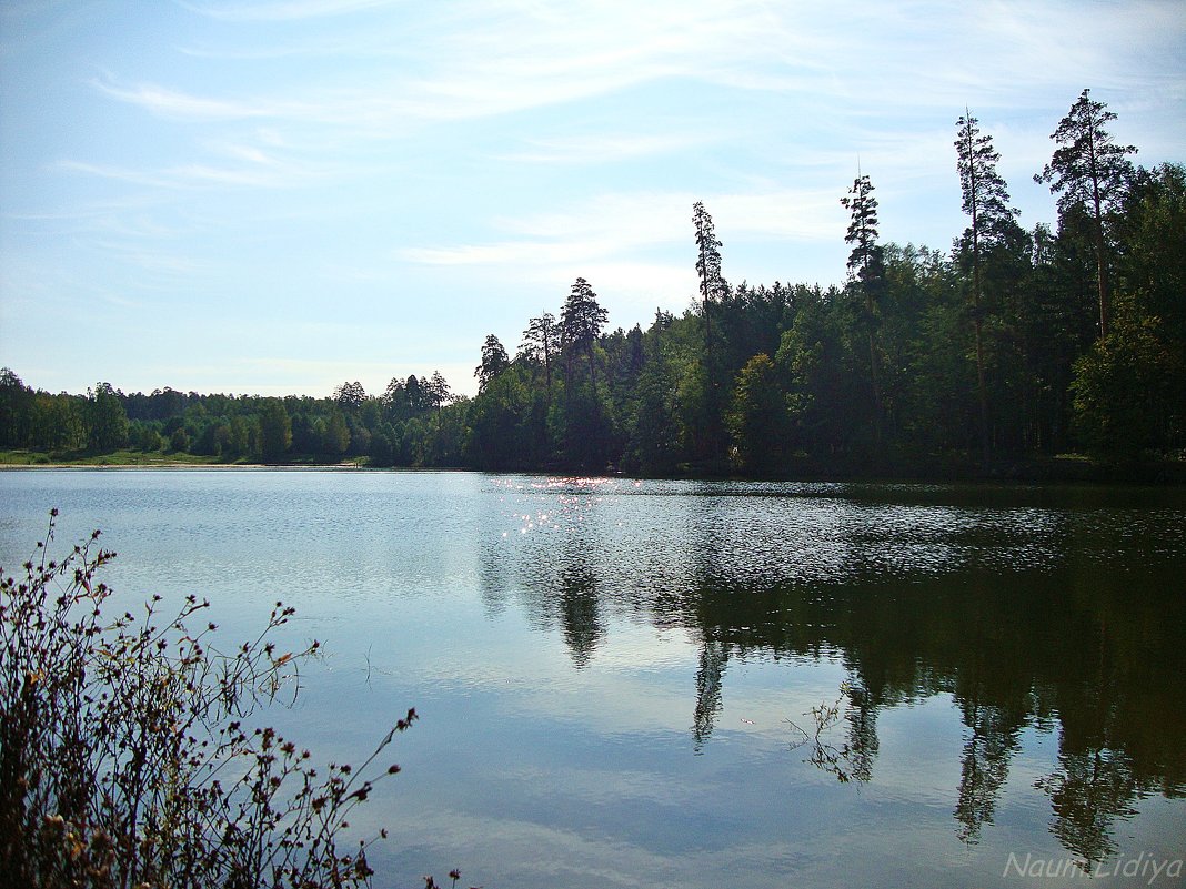 Блестки на воде - Лидия (naum.lidiya)