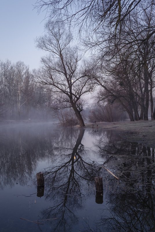 Отражение.Река Псел - Сергей Корнев