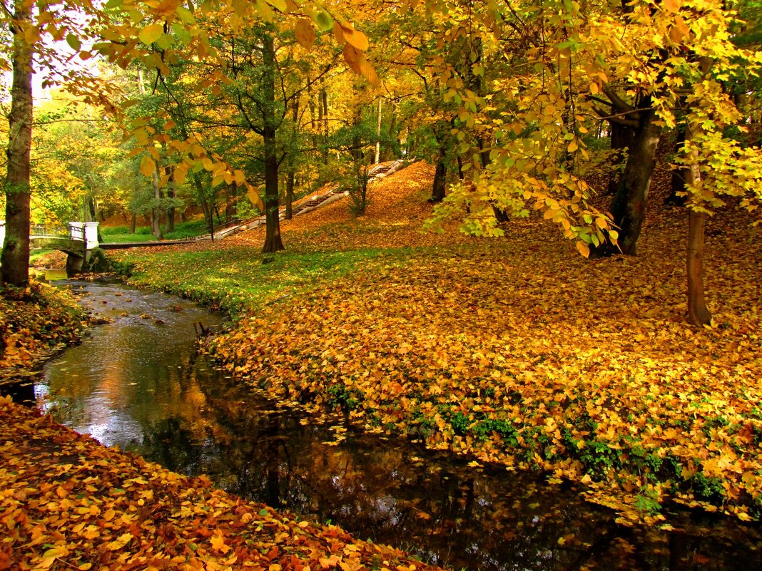 Осенний пейзаж - Сергей Карачин
