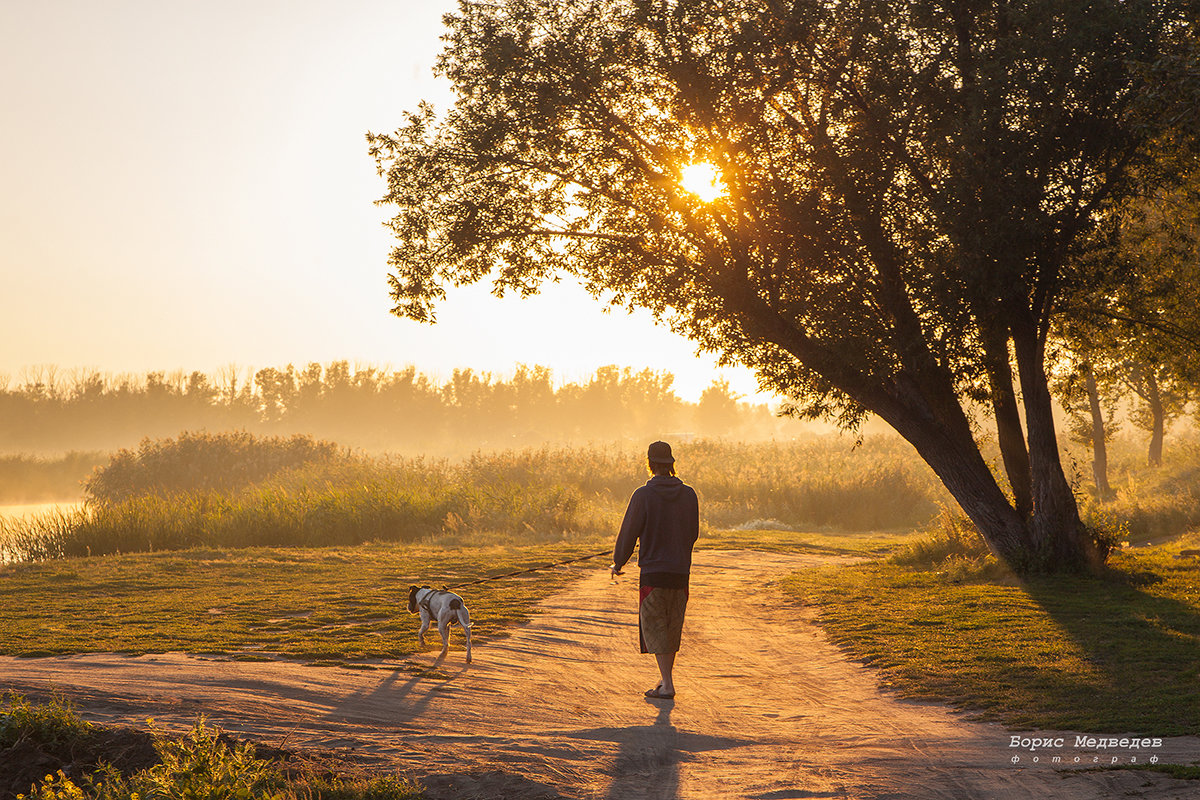 прогулка с собакой (снято в августе 2016) - Борис Медведев