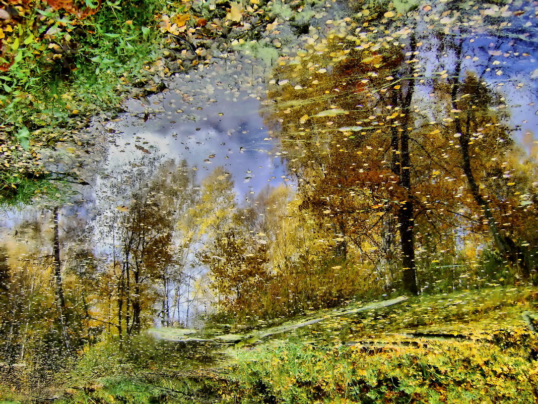 Осенний мираж - Ольга СПб