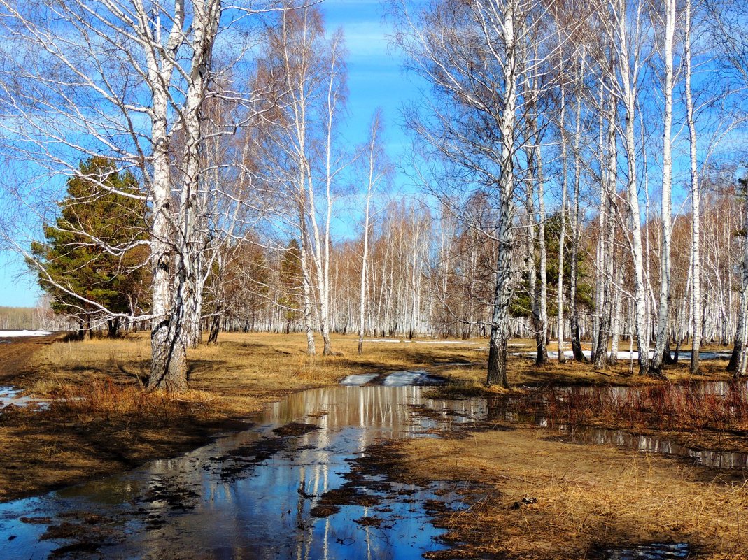 Картинки к апрелю