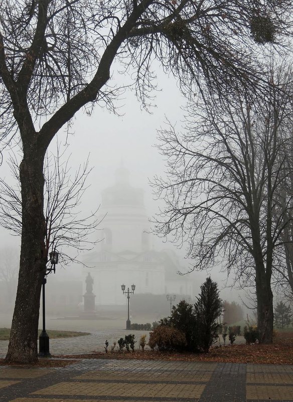 В тумане - Роман Савоцкий