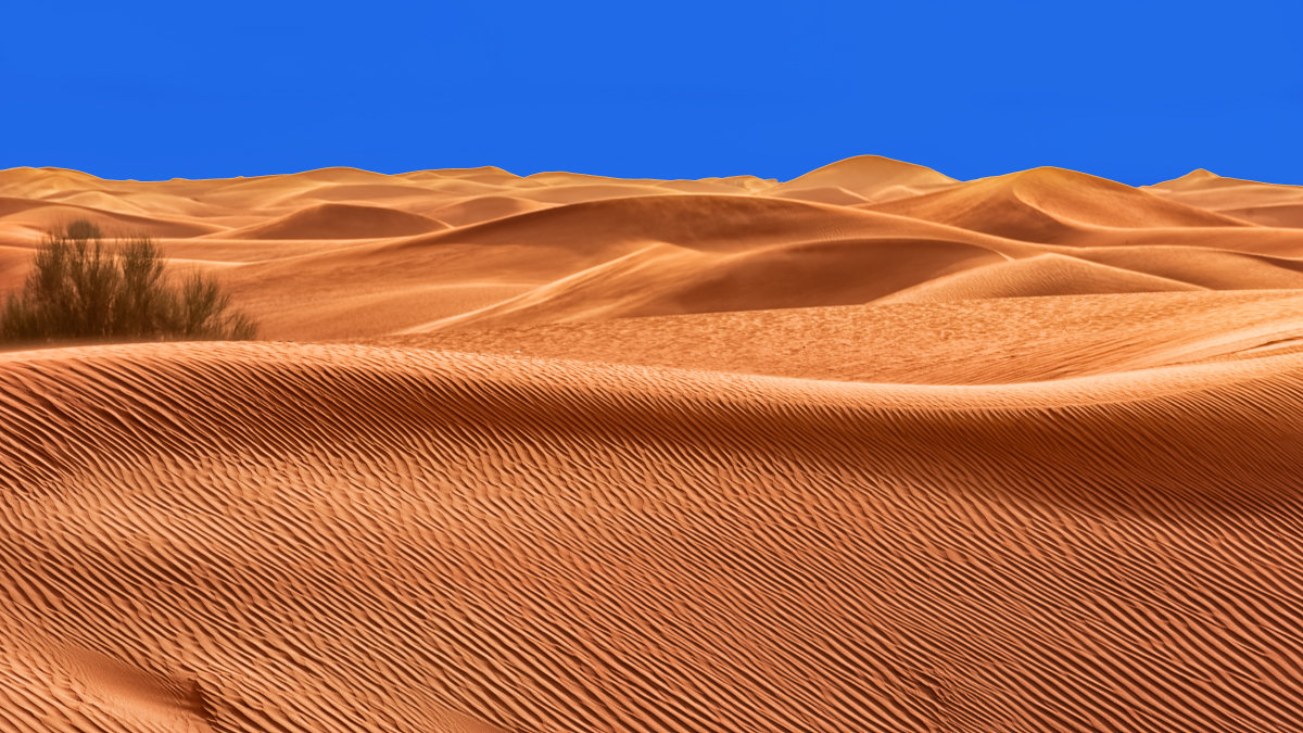 В пустыне Руб аль Хали (Дубаи, ОАЭ) - Владимир Горубин