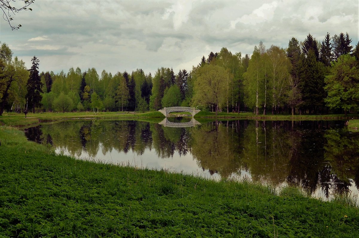 Отражения Белого озера... - Sergey Gordoff