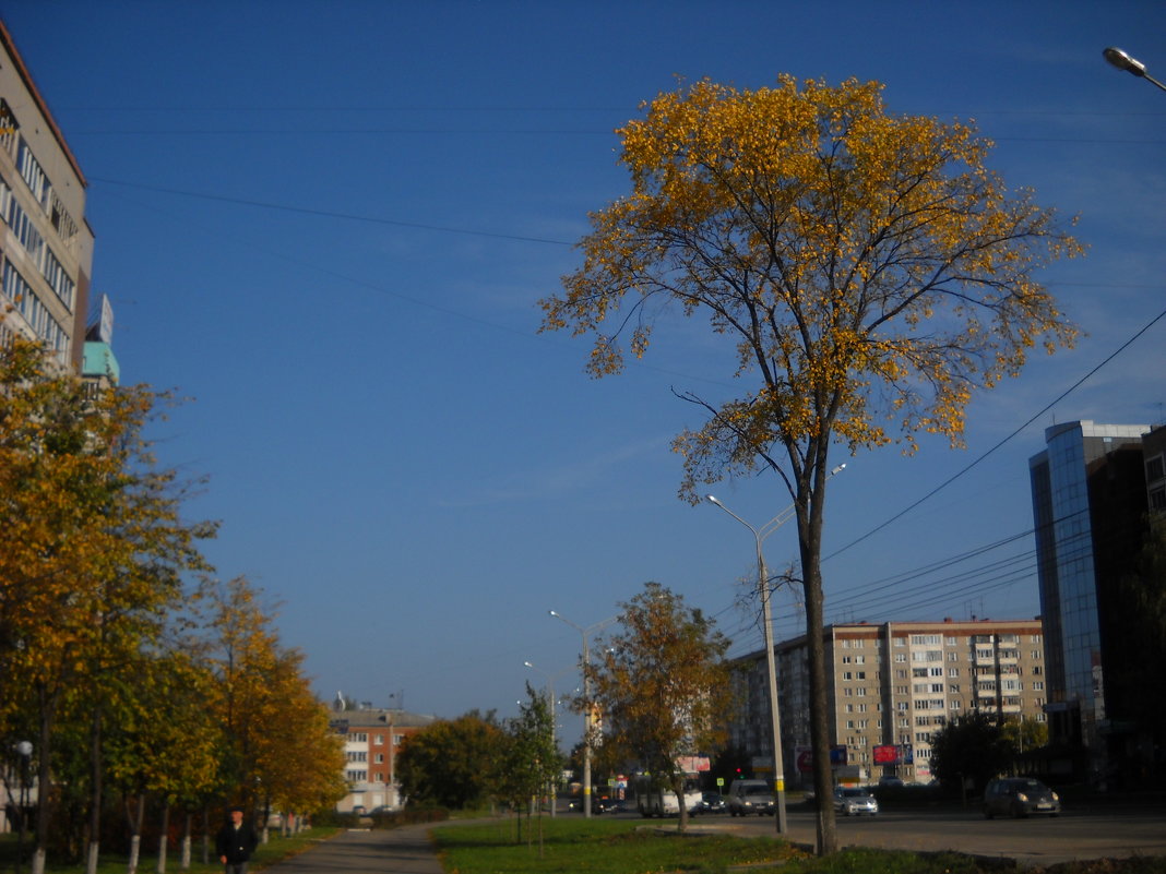 в городе осень - Александр Попков