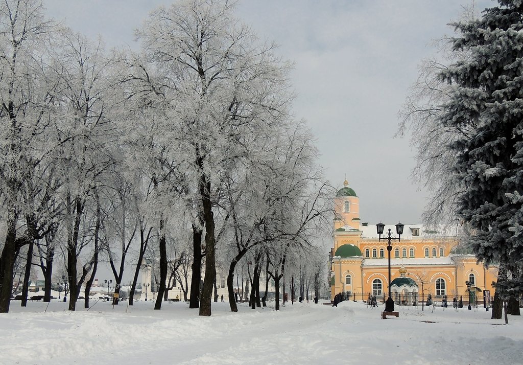 Зима в городе - Роман Савоцкий