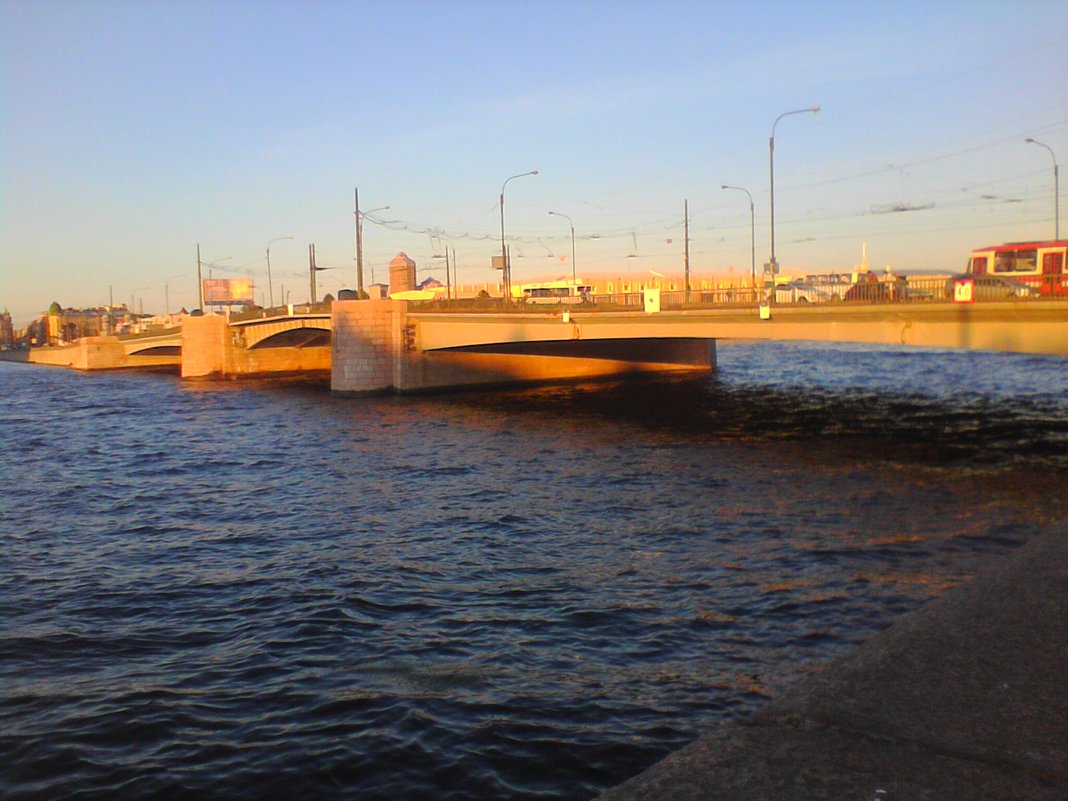 Мост на Неве - Svetlana Lyaxovich