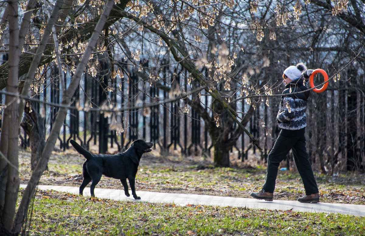 "Бросай!" - Владимир Безбородов