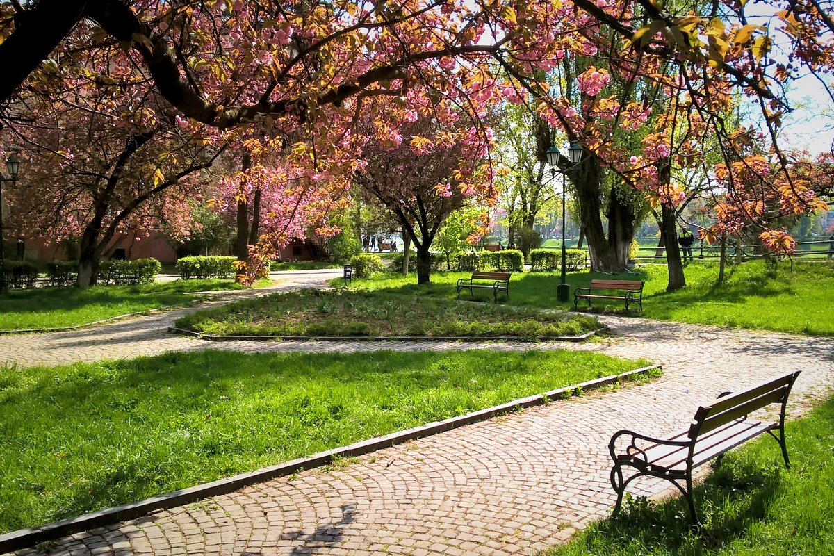 Весна в парке