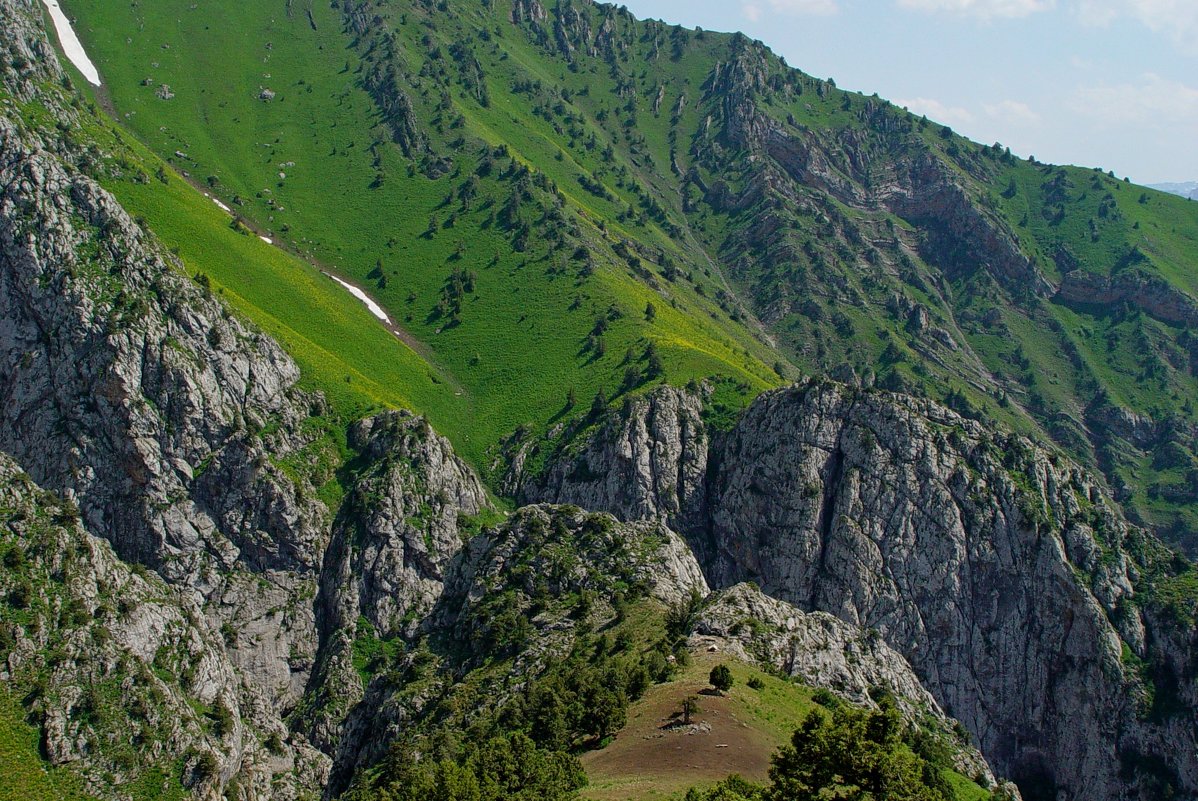 ДОЛИНА КУЛОСЬИ, арча, вид сверху. - Виктор Осипчук