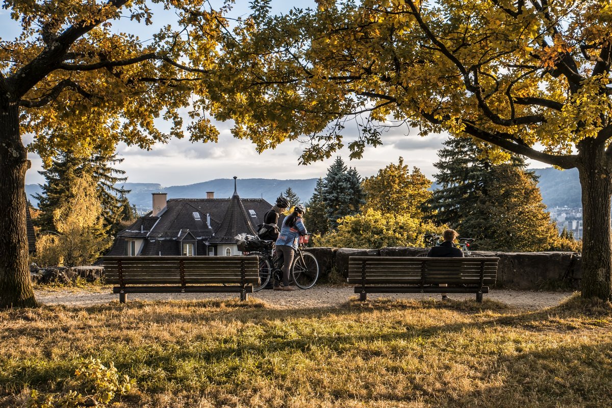 Autumn in the park/осень в парке - Dmitry Ozersky