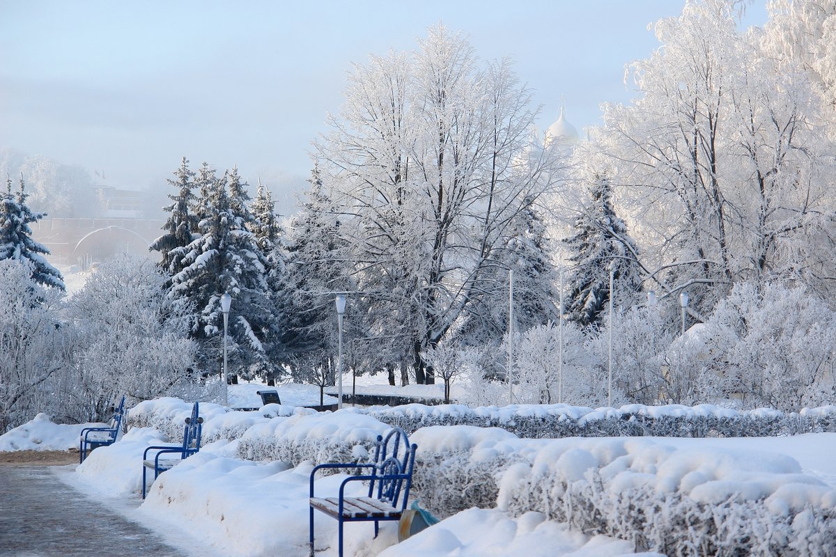 В зимнем парке - Sergey 
