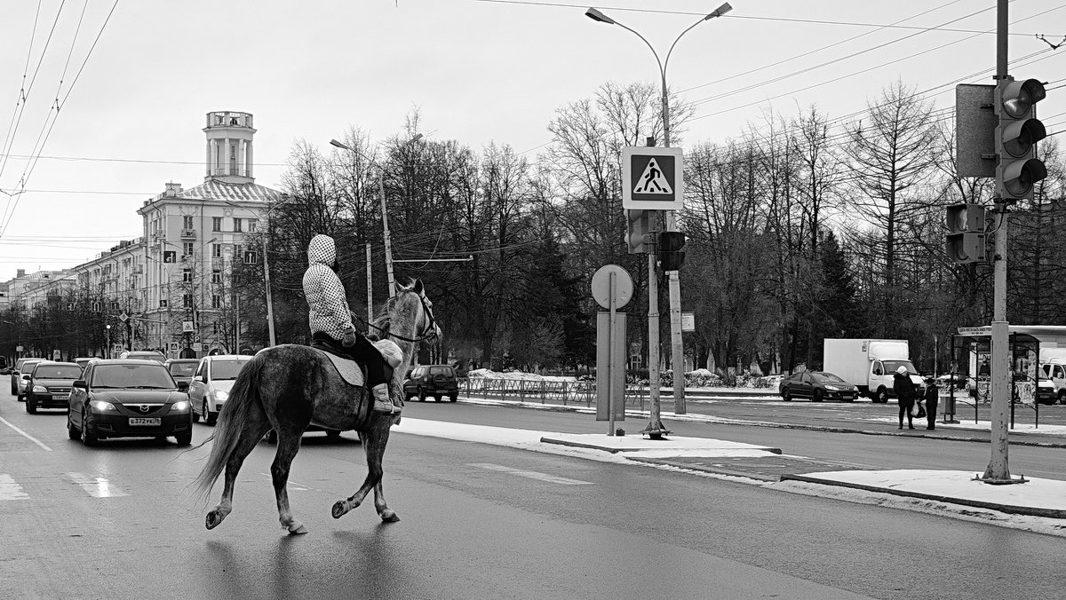 На Свободе с чистой совестью - Николай Белавин