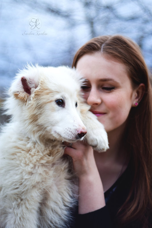 Собака - друг человека - Каролина Савельева