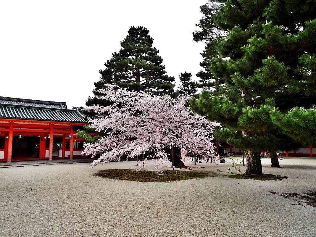 Киото у Храма Хэйан-дзингу - wea *