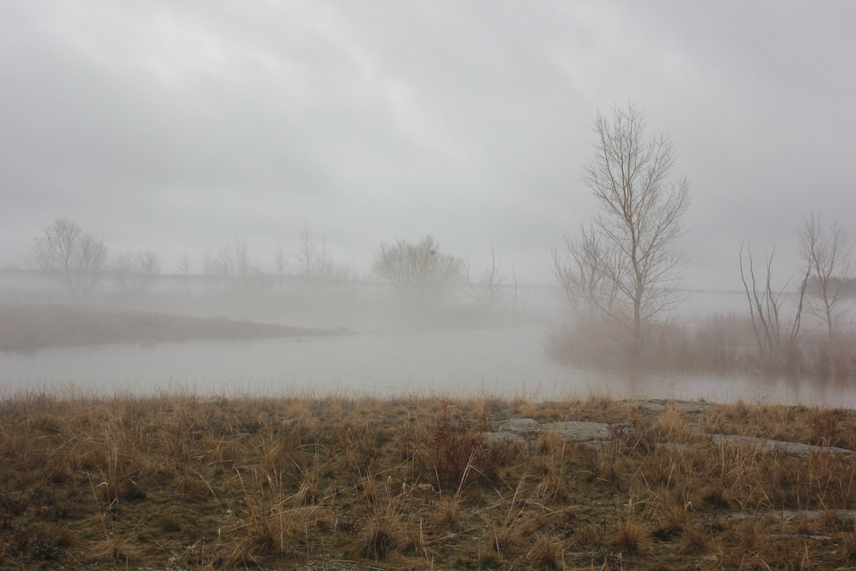 туман в половодье - Оксана К 