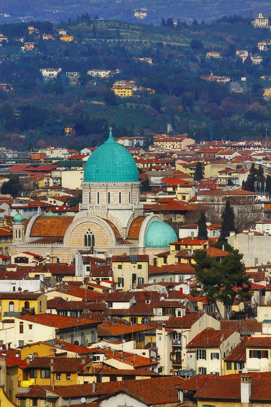 Флорентийские крыши и синагога - M Marikfoto
