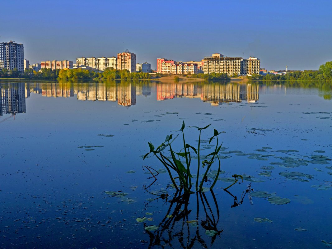 Брянск. Московский м-р - Дубовцев Евгений 