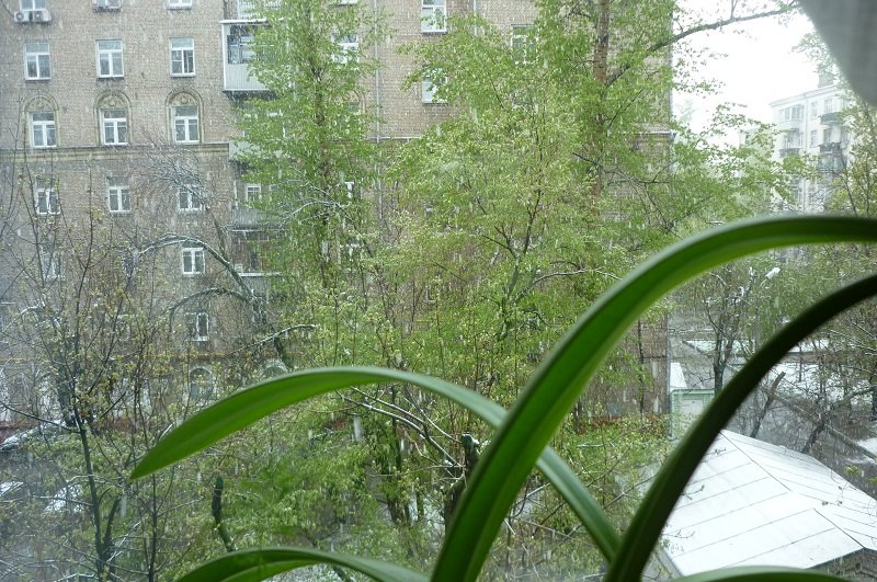 Майский снег за окном... - Татьяна Юрасова