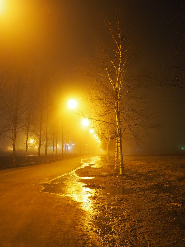 Ночной туман - Софья Борисова