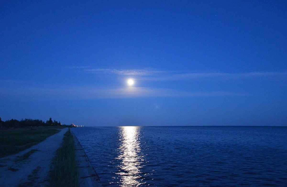 Лунная ночь над морем - Александр Довгий